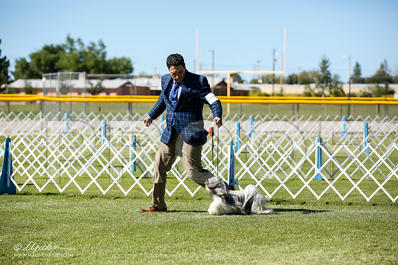 _JN_9393-AlamogordoOct2014-HR3