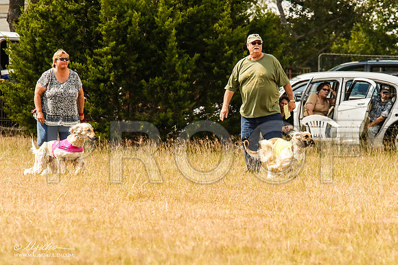 _MJ_5117-AfgBeltonOct2014-HR3
