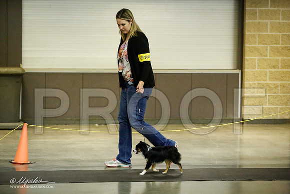 _JJ_6732-BeltonJan2015IABCA-HR3