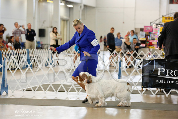 _JN_1473-DallasJul2014-HR3