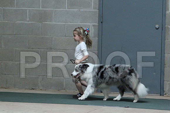 AussieCCL_3363LR