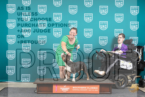 American Bully #712 Fri COC Judge Nancy Eilks__JP_6422_BatesvilleMS_2024_HR3