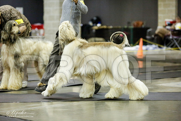 _RH_1271-BeltonJan2015IABCA-HR3