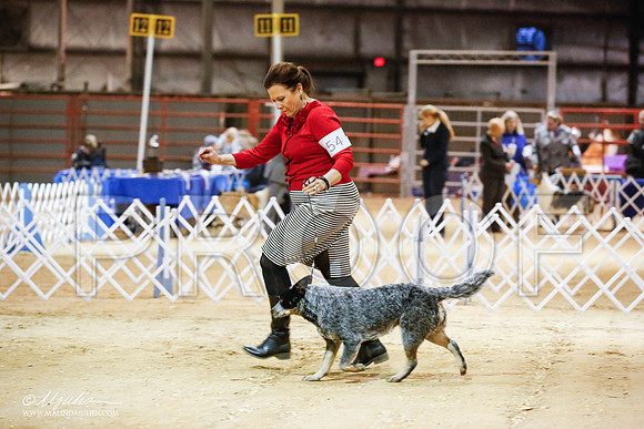 _JN_4731-2-GlenRoseJan2015-HR3