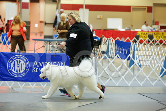 _JJ_9465-AmarilloSept2014-HR3
