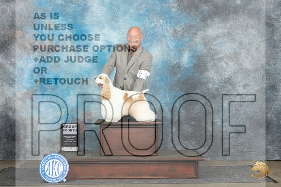 Cocker Spaniel Parti #5 Sat G4 Judge Gerard Penta__JP_3640_Lubbock_2024_HR3
