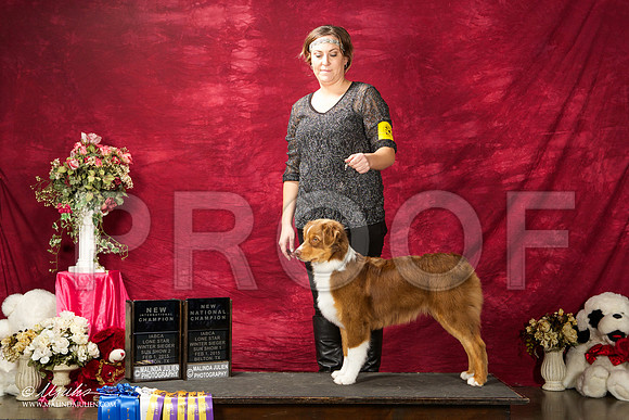 _ST_3006-BeltonJan2015IABCA-HR3