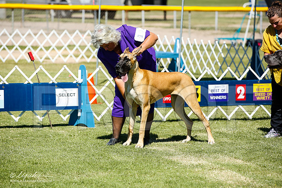 _JN_6404-AlamogordoOct2014-HR3