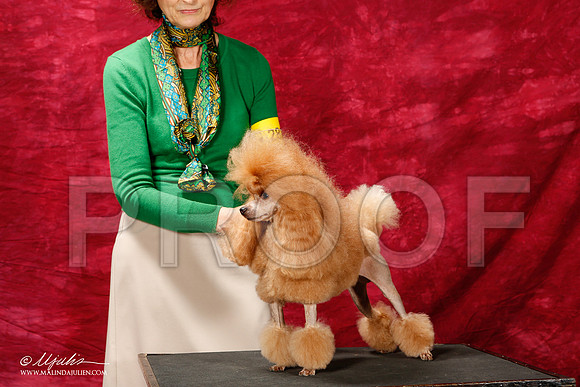 _ST_2810-2-BeltonJan2015IABCA-HR3