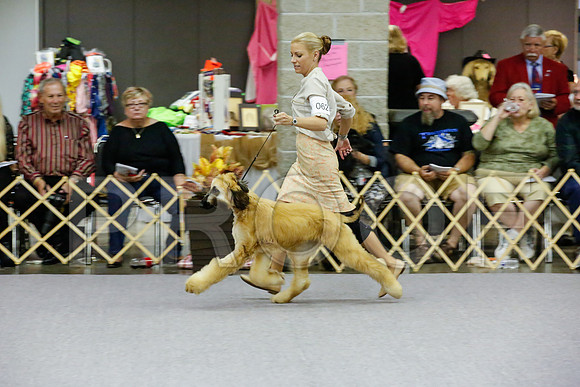 _JJ_9224-AfgBeltonOct2014-HR3
