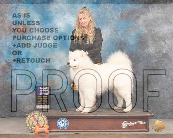 Samoyed #17 Fri WD Judge Del RichardsMMJ_3071_Mdlnd2022_HR3