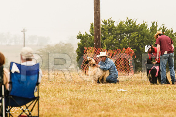 _MJ_3239-AfgBeltonOct2014-HR3