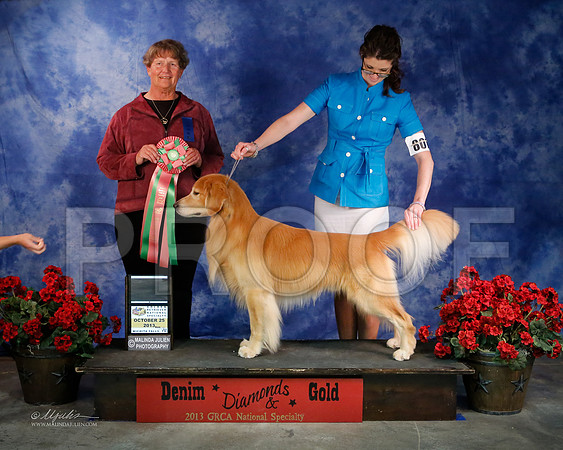 BestGunDog-9109-WFOct2013-HR