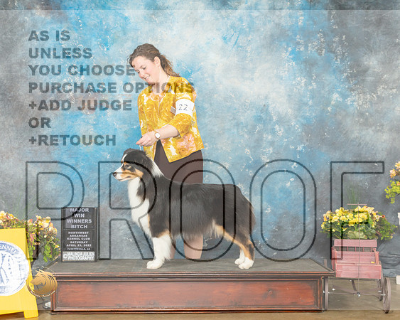 Australian Shepherd #22 Sat WB Judge Raymond Filburn-MMJ_0557-NWARK2022-HR3