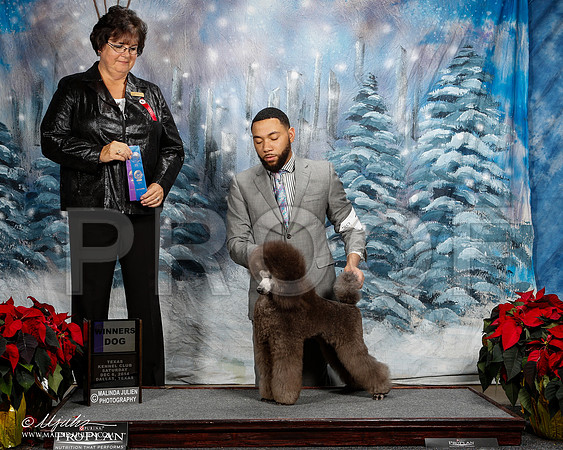 _ST_8773-2-DallasDec2014-HR3
