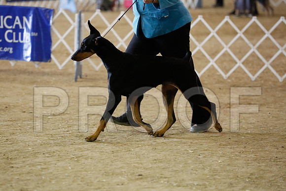 dobe-7477-HstnNov13-HR