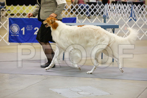 _JJ_3787-AmarilloSept2014-HR3