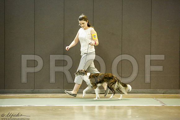 _J3L7412-BeltSep2014-HR