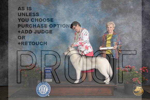 Siberian Husky #11 Sat G1 Judge Paul F Willhauck__JP_5290_San Antonio_2024_HR3