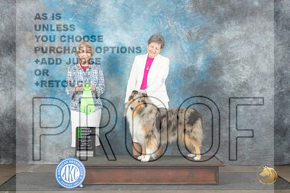 Collie Rough #6 Sun OHG2 Judge Ann Bolus__JP_4122_Lubbock_2024_HR3