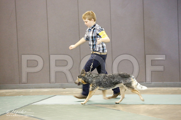 _JN_2281-BeltonJan2015-HR3