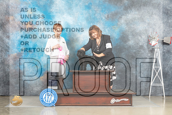 Affenpinscher #6 Sat OHG1 Judge Sharon Derrick_MJ_4594_Amarillo_2022_HR3
