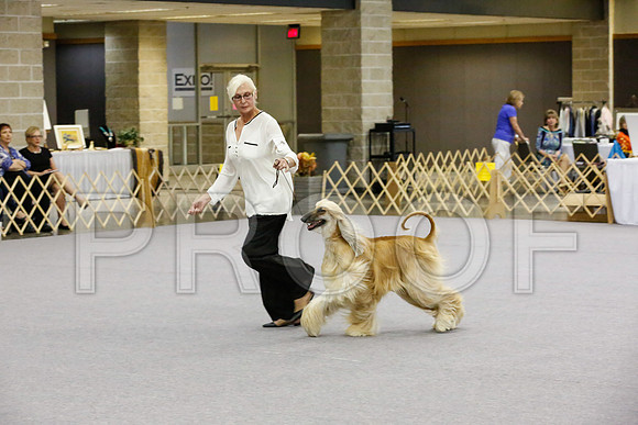 _JJ_8172-AfgBeltonOct2014-HR3