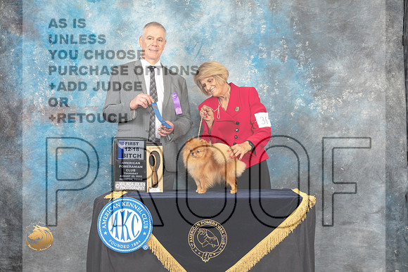 Pomeranian #36 Thur 12to181st Judge Luis Carlos Esperon_MJ_9491_HstnTOY_2022_HR3
