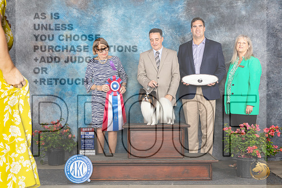Papillion #23 Sat BIS Judge Elizabeth ‘Beth’ Sweigart__JP_5600_San Antonio_2024_HR3