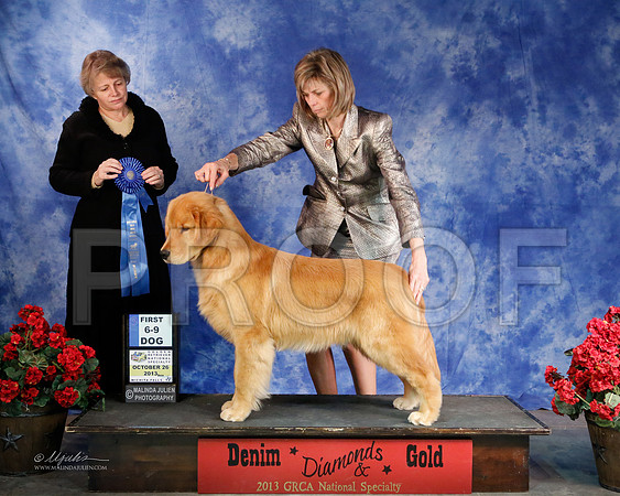 6-9D-5277-WFOct2013-HR