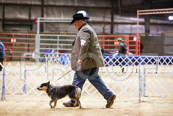 _JN_4321-2-GlenRoseJan2015-HR3