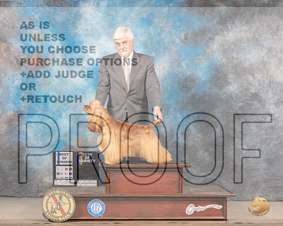 Cocker Spaniel ASCOB #5 Sat BOWBOV Judge Jim FehringMMJ_5808_Mdlnd2022_HR3