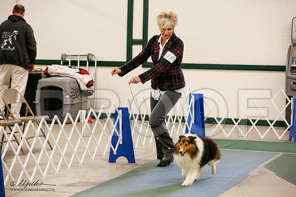 _JN_1659-NrmnNov2014-HR3