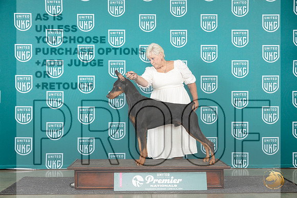 Doberman PInscher #959 Brinkx__JP_2160_Premier_2024_HR3