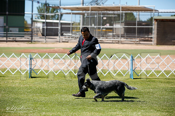 _JN_8900-AlamogordoOct2014-HR3