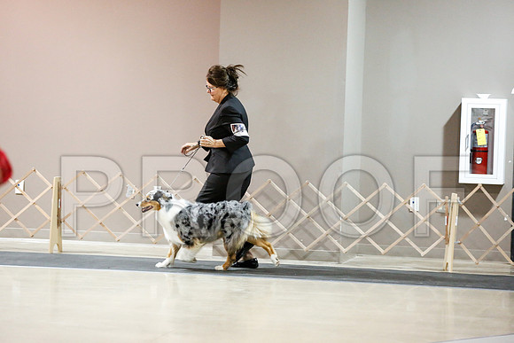 _RH_2817-ASCACollegeStationNov2014-HR3