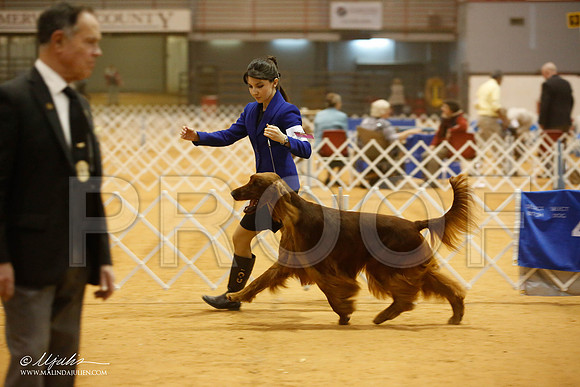 _JJ_7527-GlenRoseJan2015-HR3
