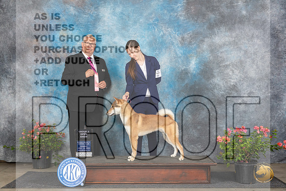 Shikoku Ken #5 Sun OG3 Judge John Booth__JP_5993_San Antonio_2024_HR3