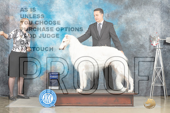 Borzoi #11 Sun G1 Judge Sharon Derrick_MJ_5125_Amarillo_2022_HR3