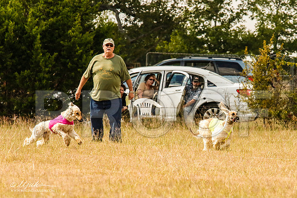 _MJ_5119-AfgBeltonOct2014-HR3