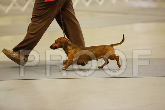 _JN_3967-AmarilloSept2014-HR3
