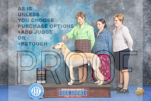 Saluki #9 Wed BO Judge Barbara Scherer__JP_7549_Houston_2024_HR3