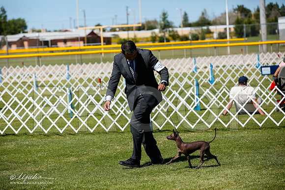_JJ_8358-AlamogordoOct2014-HR3