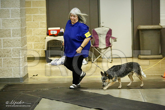 _JJ_7032-BeltonJan2015IABCA-HR3