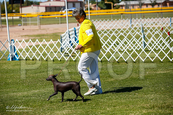 _JJ_8477-AlamogordoOct2014-HR3