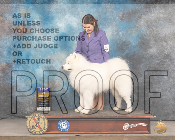 Samoyed #7 Fri BOB Judge Del RichardsMMJ_3101_Mdlnd2022_HR3