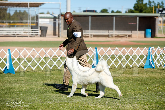 _JJ_4484-AlamogordoOct2014-HR3
