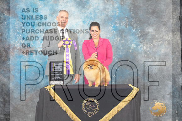 Pomeranian #67 Thur BISS Judge Luis Carlos Esperon_MJ_9472e_HoustonToy_2022_HR3