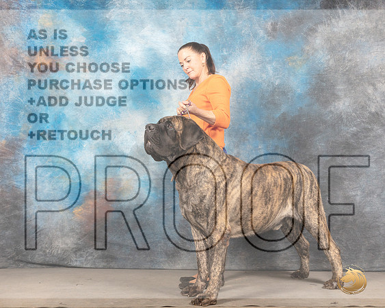 Mastiff #5 r BISMMJ_4070_Mdlnd2022_HR3