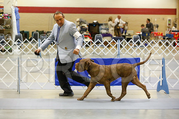 _JJ_1796-AmarilloSept2014-HR3